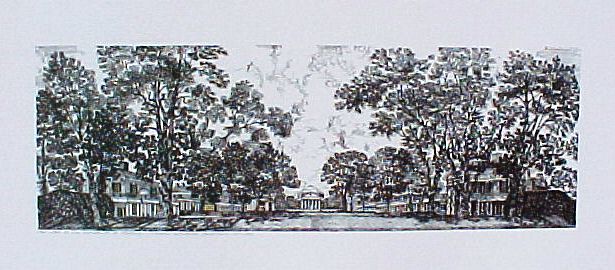 Lawn of University of Virginia