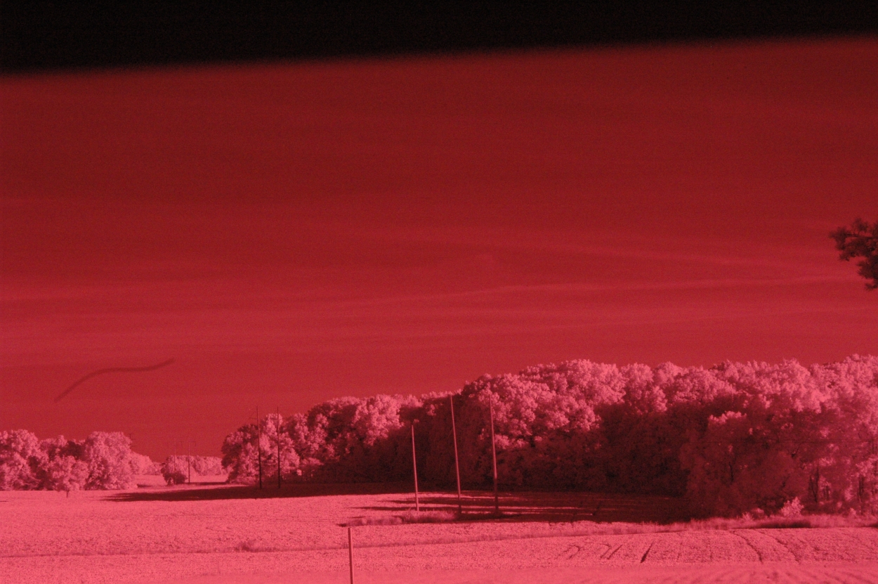 Near Infrared Photographic Image