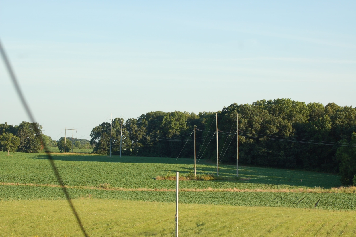 Visible Light Photographic Image